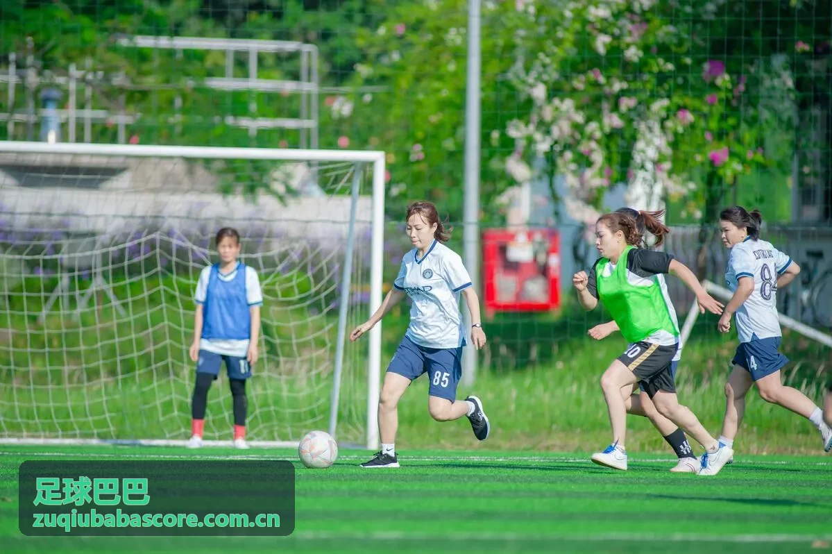 篮球比分CBA战报